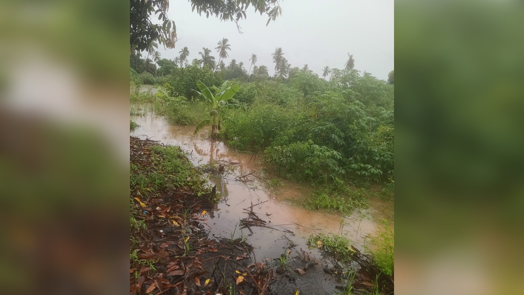 Jovem de 20 anos encontrado morto nas margens de um rio em Pateguana