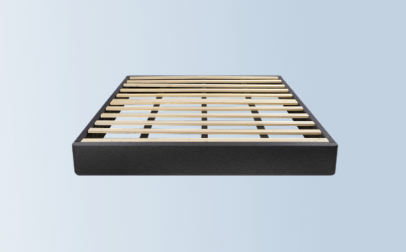 A rendered image of the Foundation on a light blue background gradient