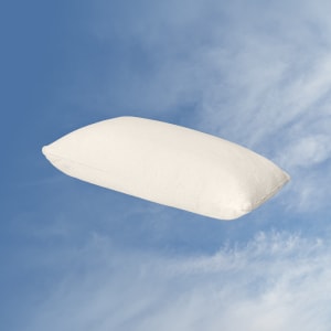 The Birch Organic Pillow on a sky background