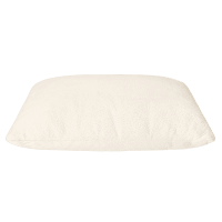 Shop the Birch Organic Pillow