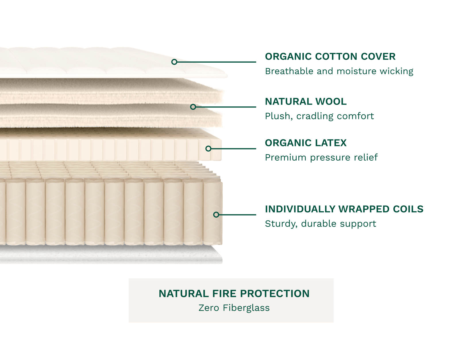 Explore the Birch Mattress Layers