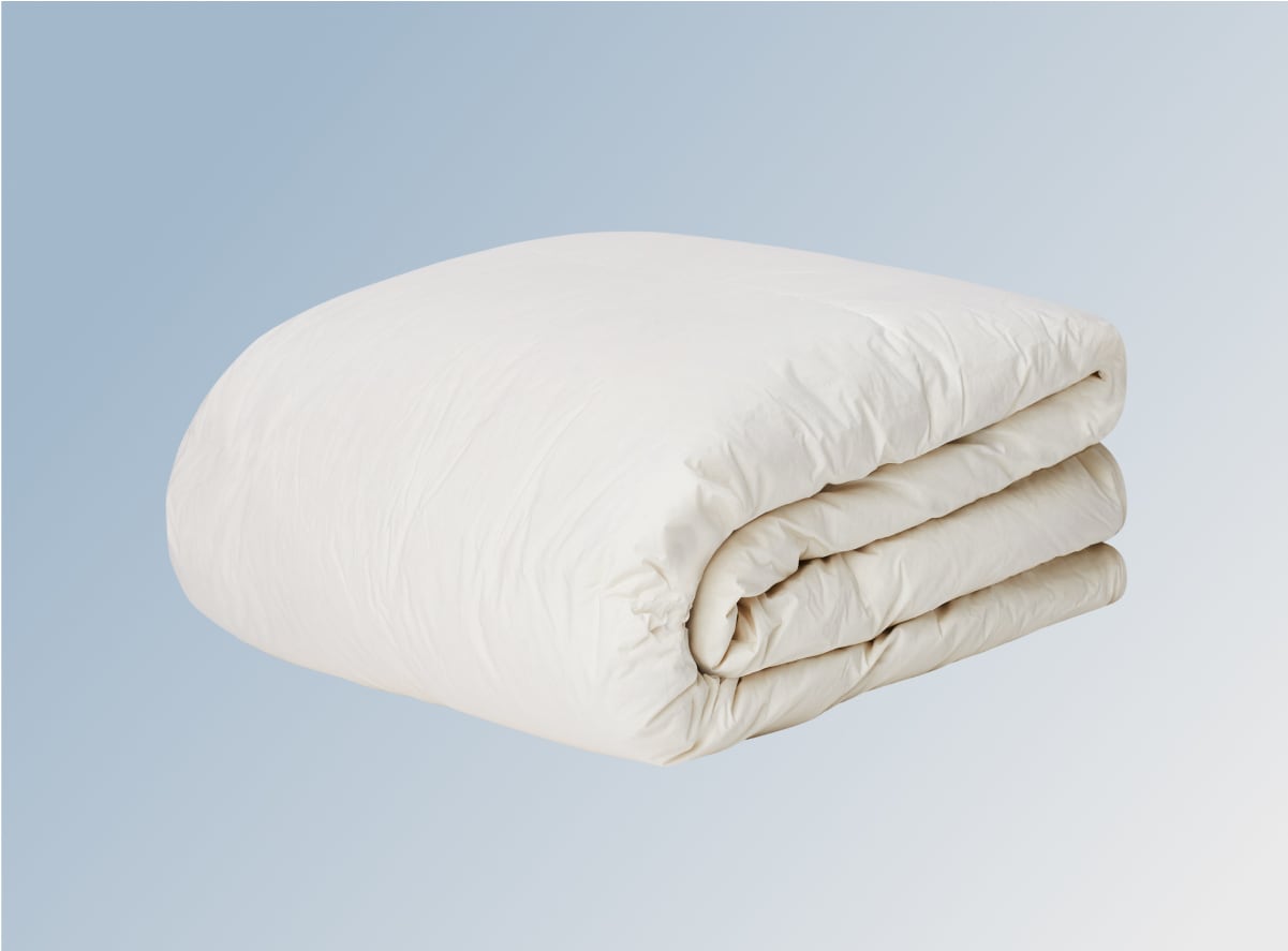 Birch Natural Down Duvet Insert on a blue gradient background