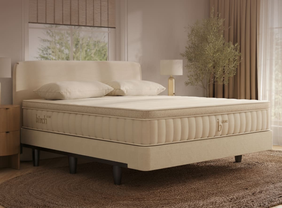 The Birch Foundation in a rendered image with a Birch Luxe Natural Mattress on top