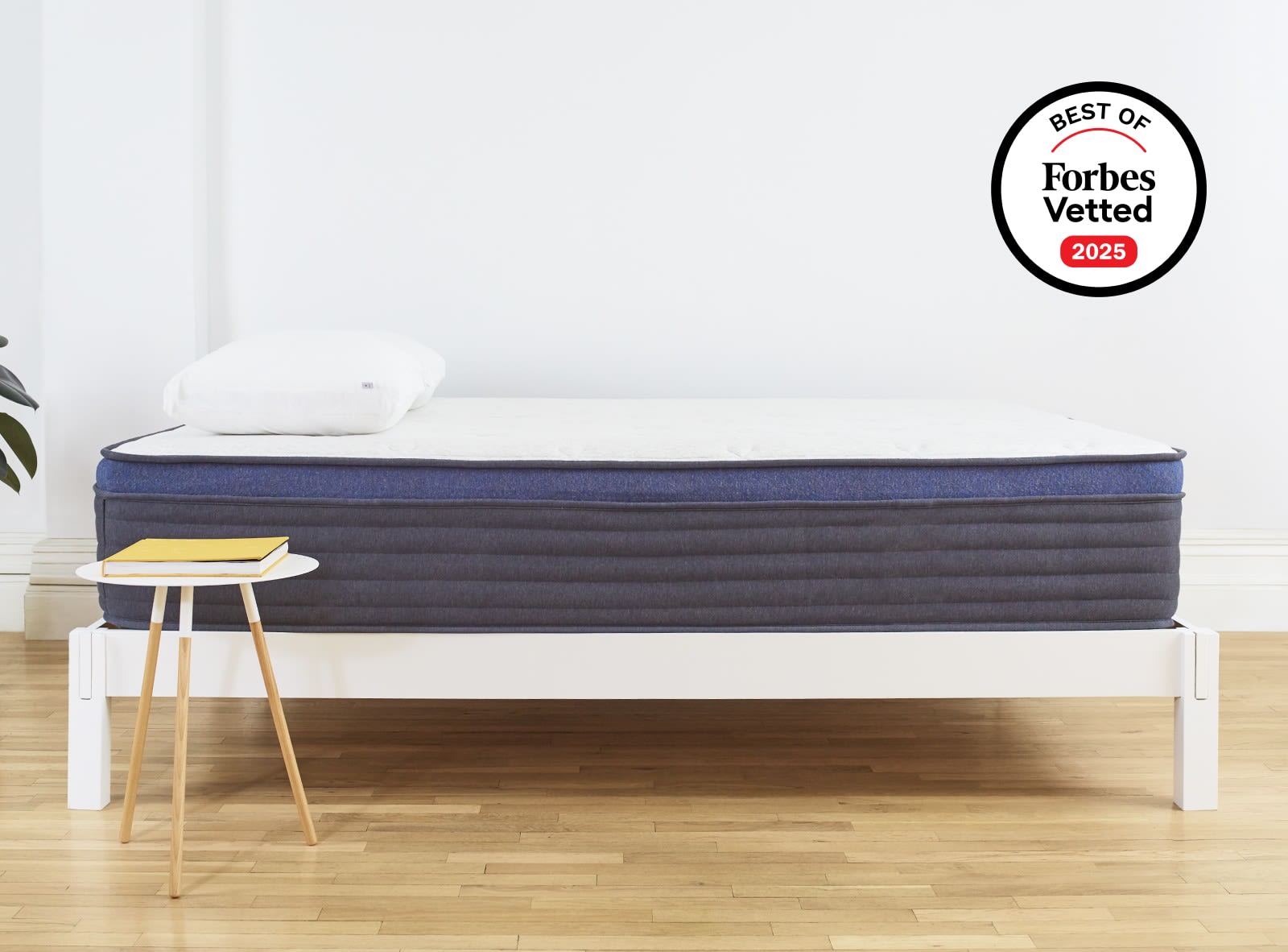 Shop the Madison Bed Frame