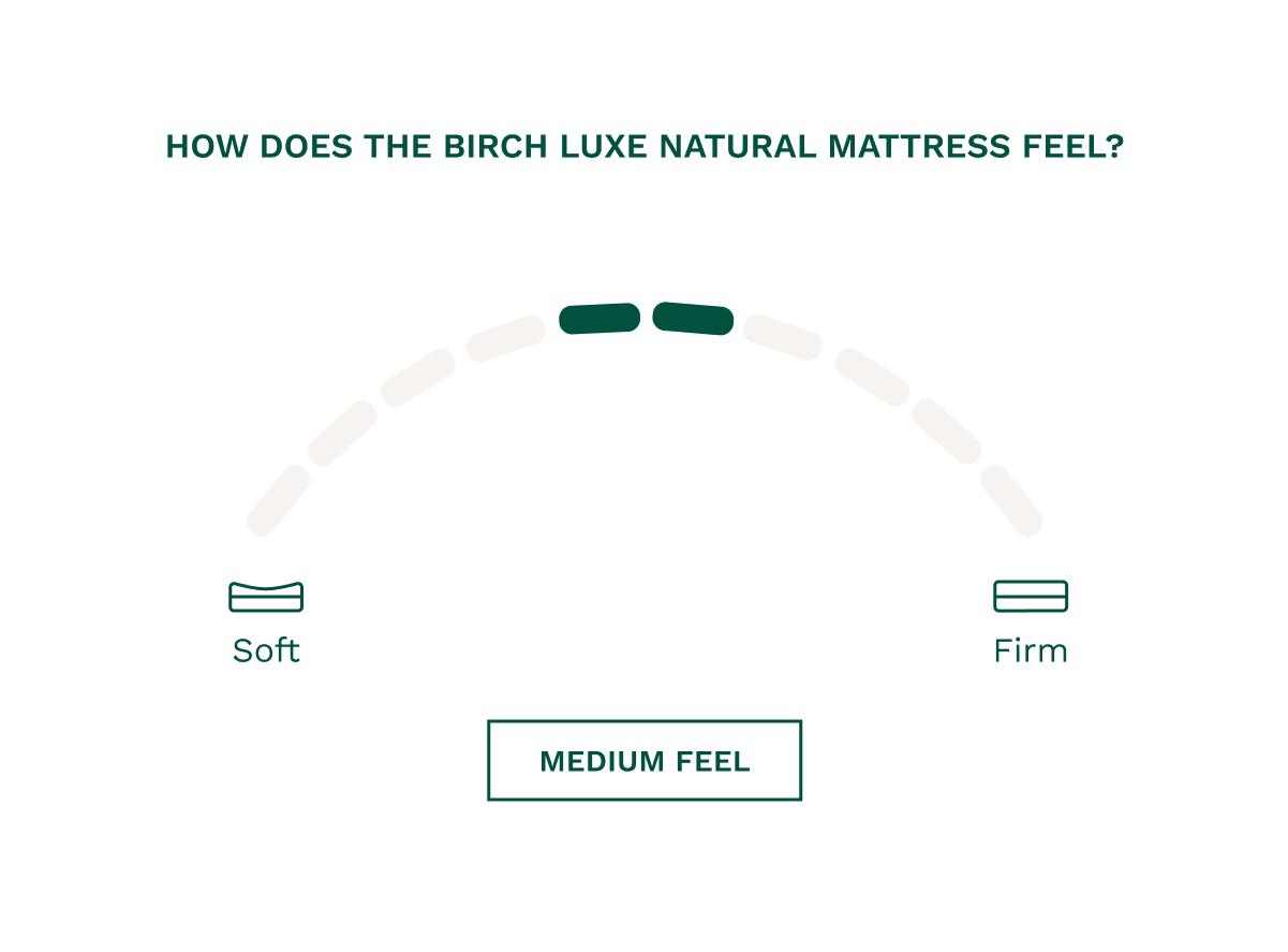Shop the Birch Luxe Natural Mattress