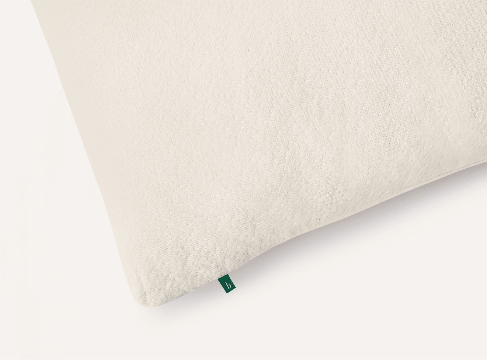 Shop the Birch Organic Pillow