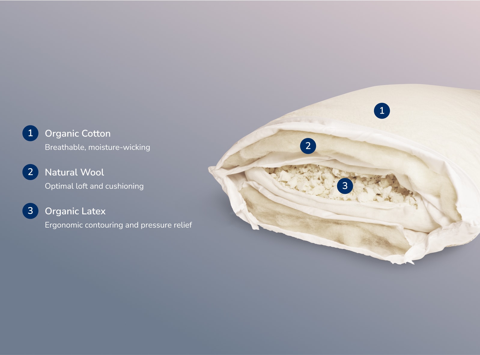Displaying the internal layers of the Birch Organic Pillow