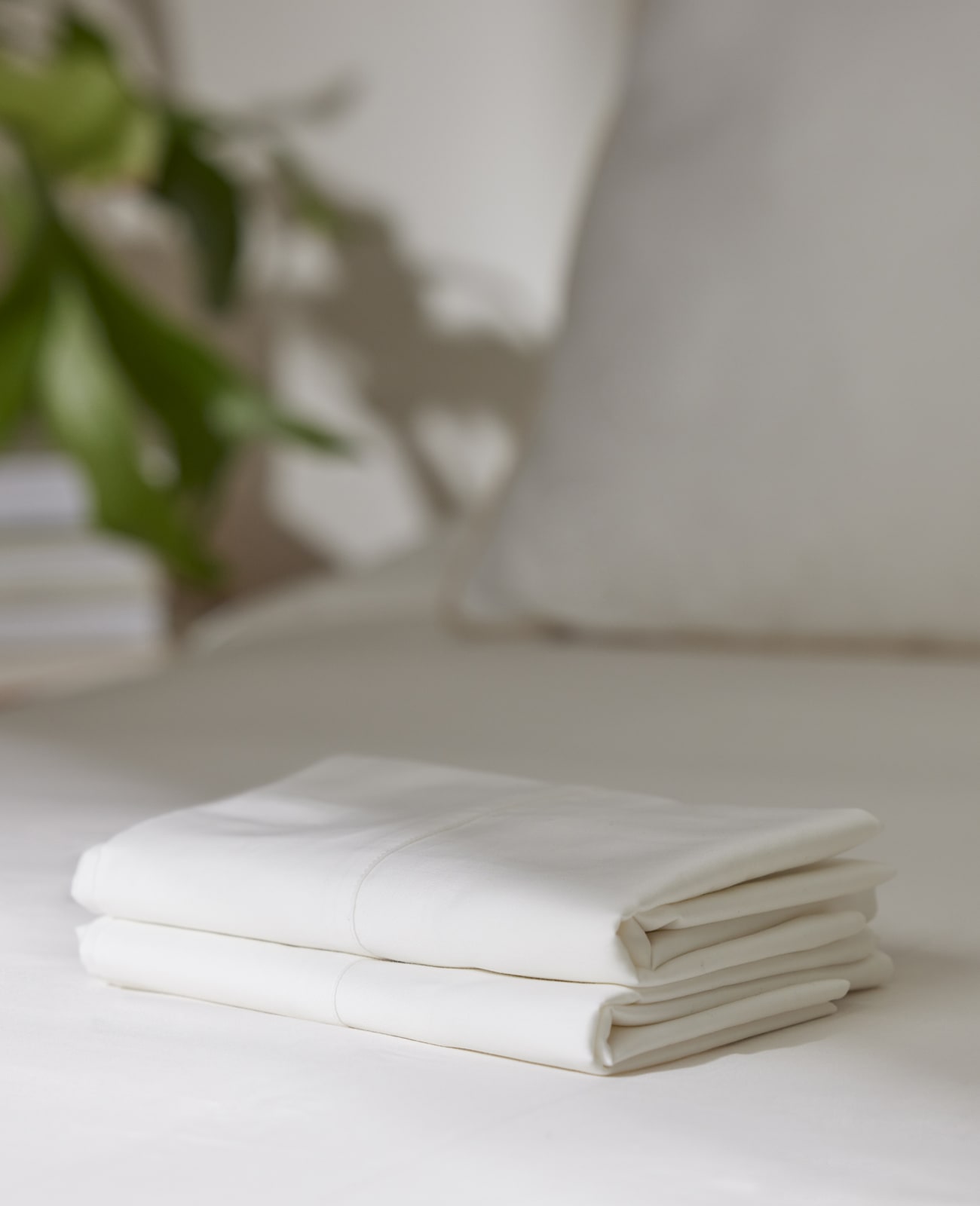 Organic Cotton Pillowcase Set White Birch
