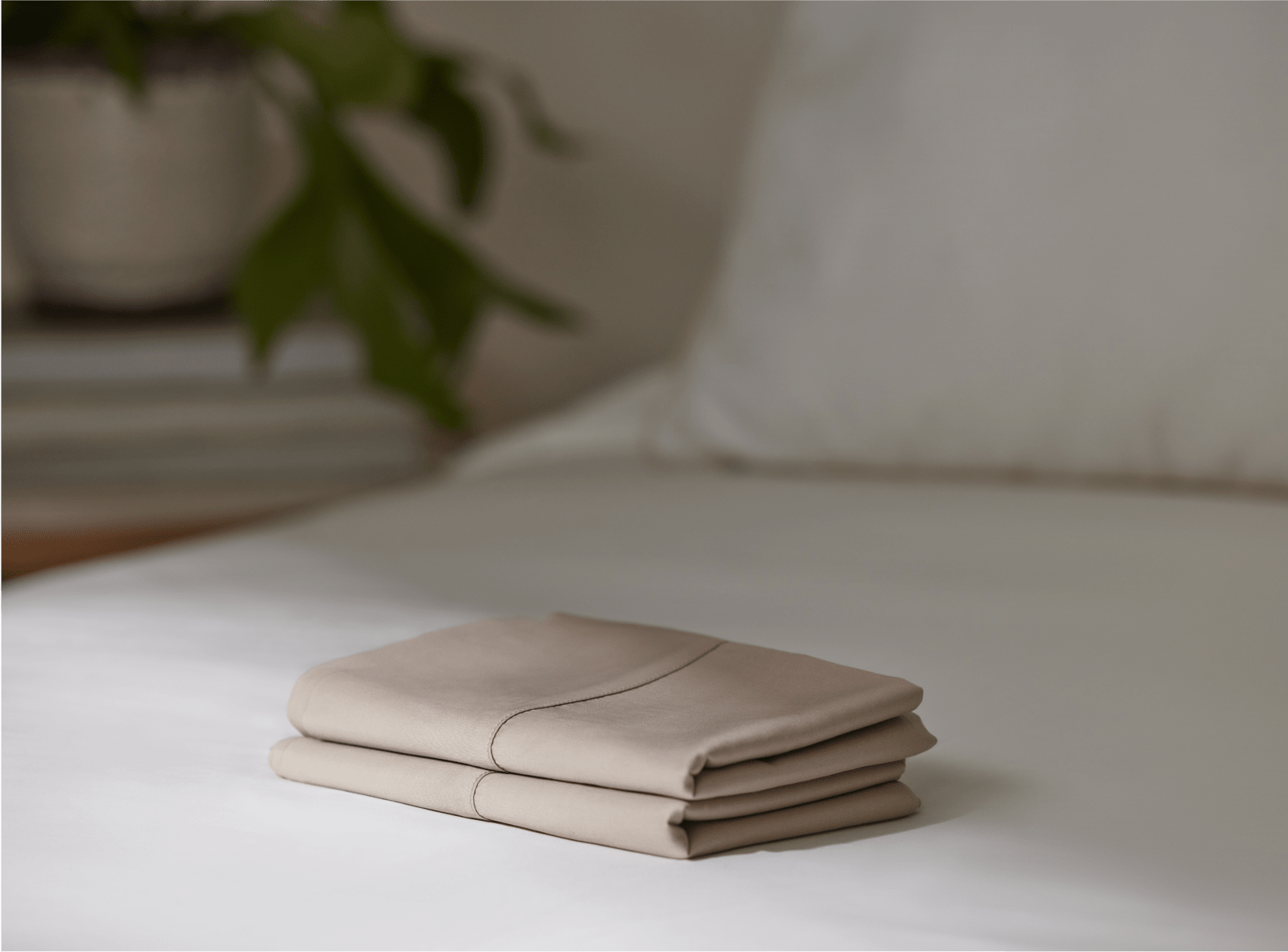 Shop the Birch Pillowcase Set