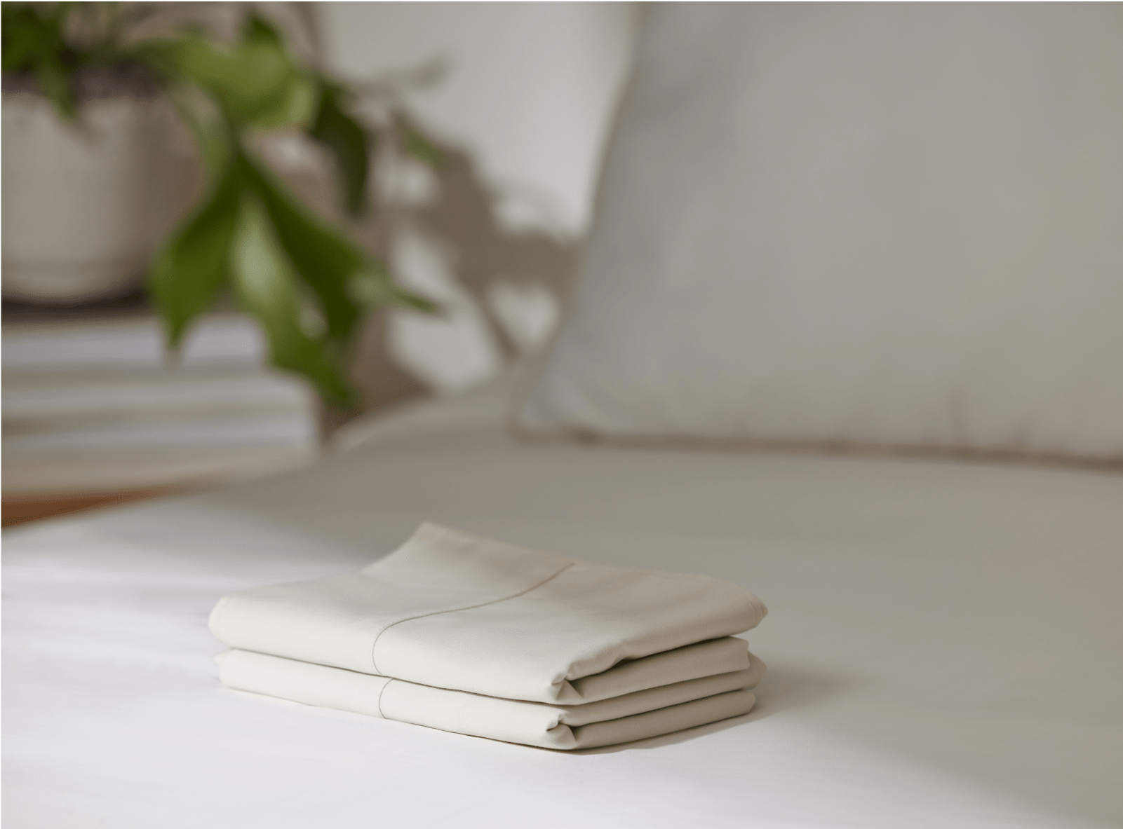 Shop the Birch Pillowcase Set