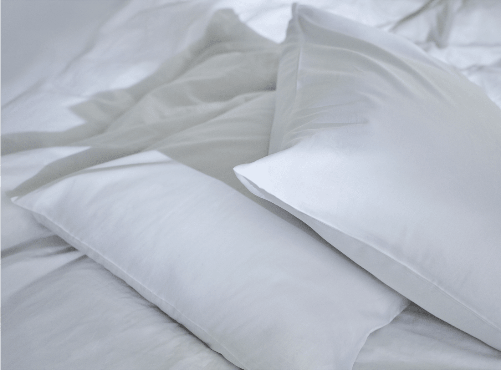 Shop the Birch Sheet Set