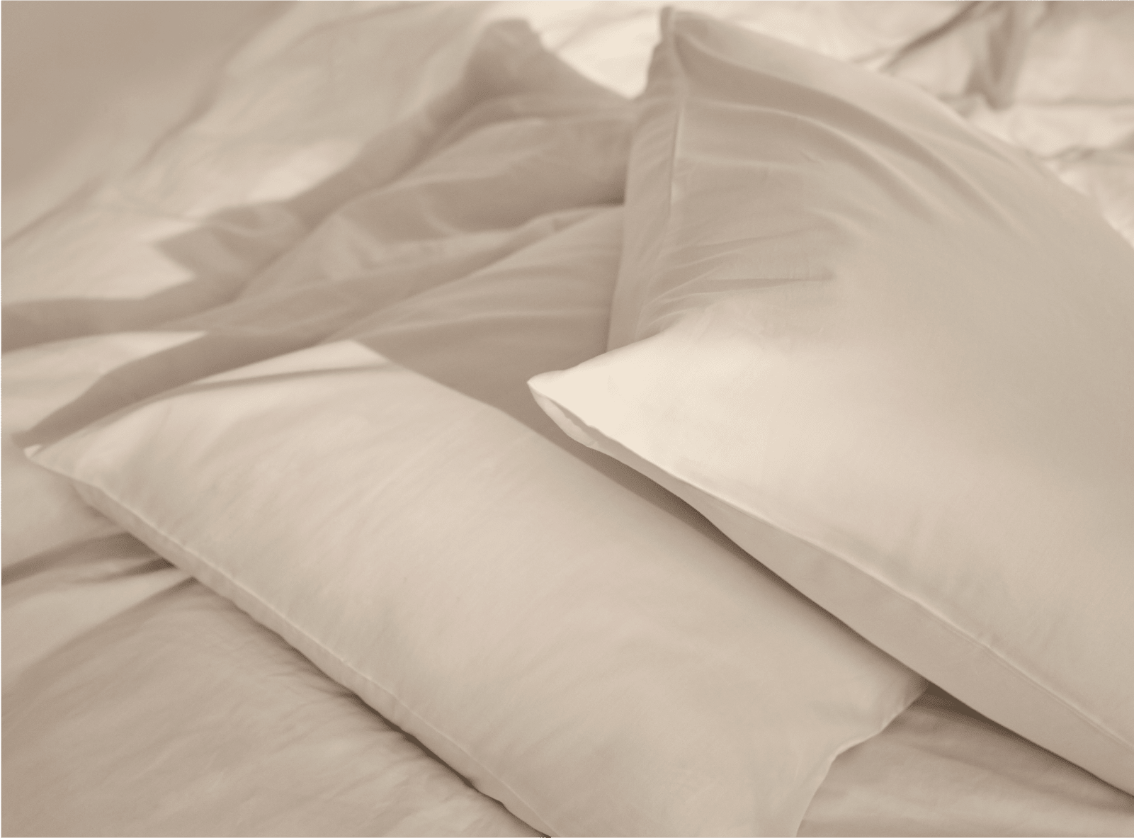 Shop the Birch Sheet Set