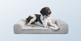 An image of the Helix Dog Bed on a blue gradient background