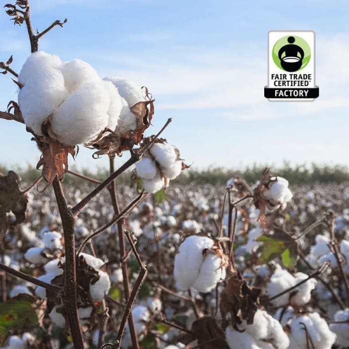 Image of cotton field with fair trade certified factory badge