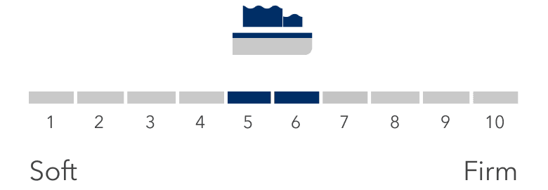 Firmness Scale