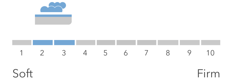 Firmness Scale