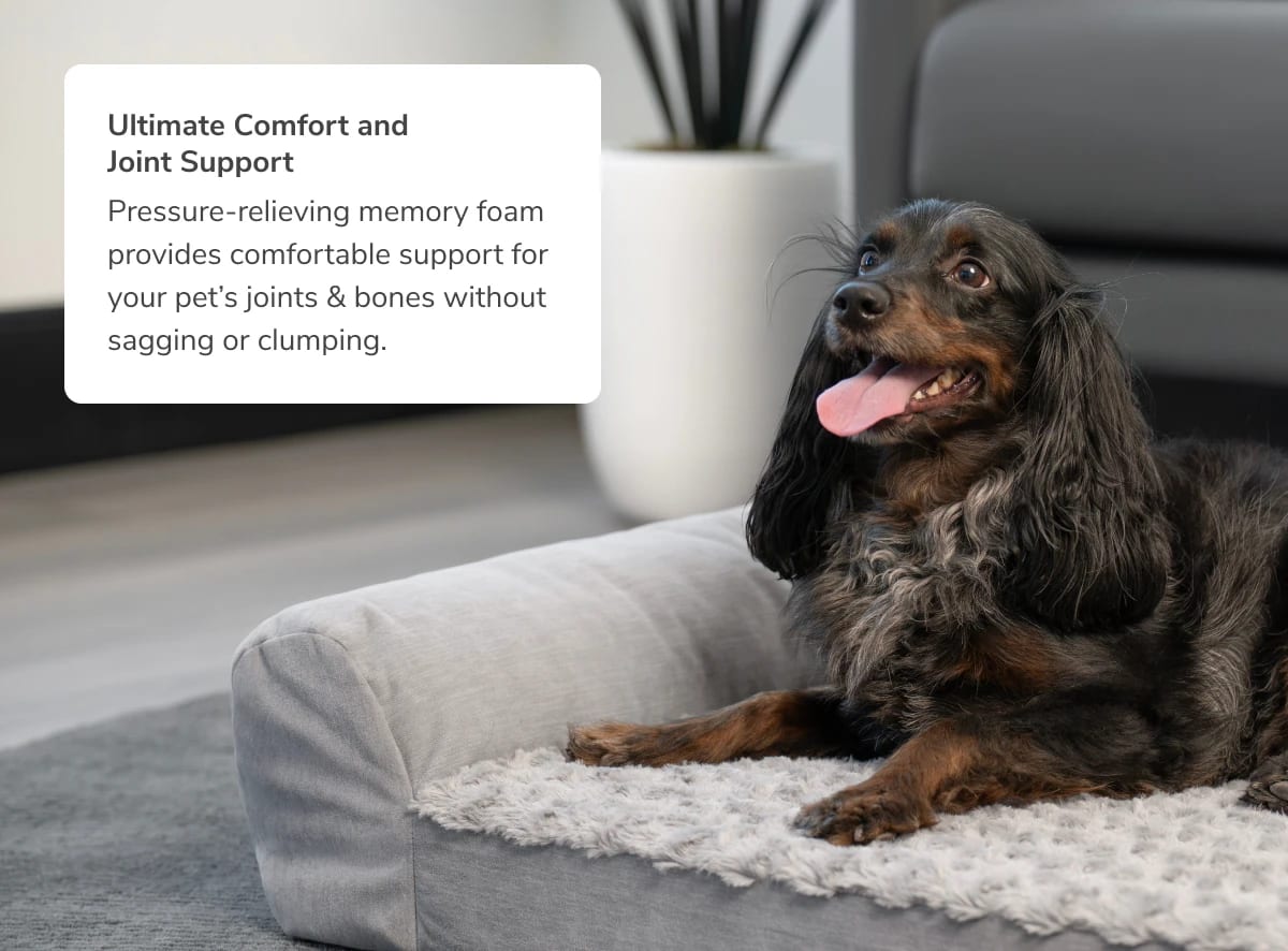 A rendered image showing the Helix Dog Bed with a callout to foams that offer comfort and joint support