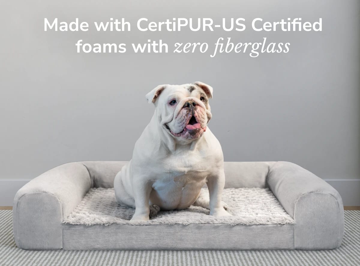 An image of a dog on the Helix Dog bed with a callout that the bed is made with certipur certified foams and zero fiberglass