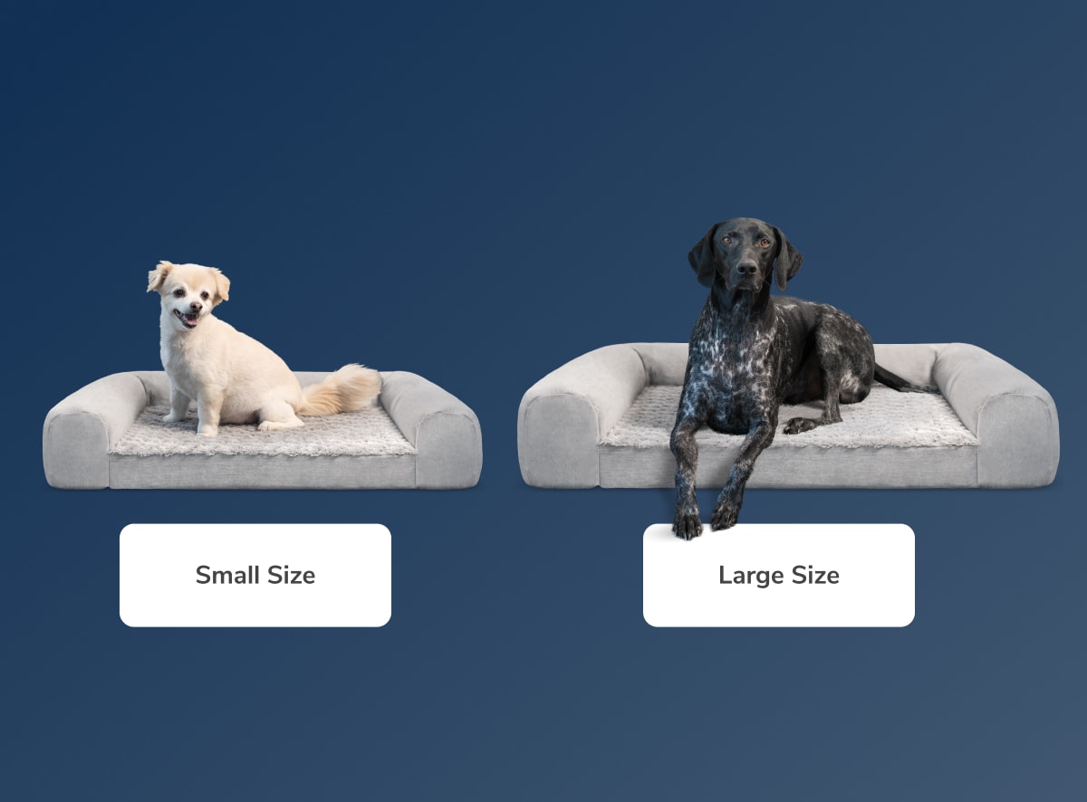 A rendered image showing the small and large Helix dog beds for comparison
