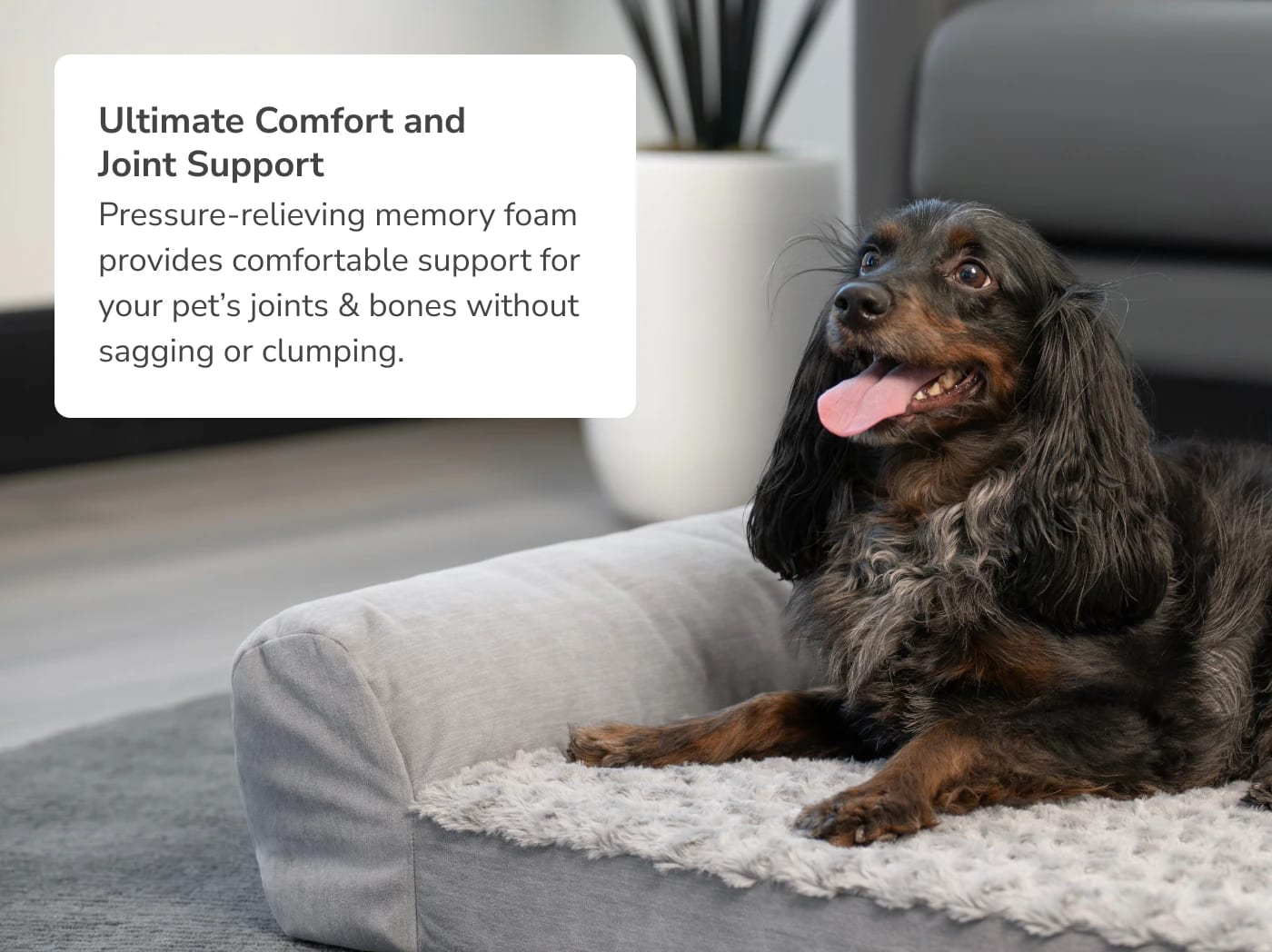 A rendered image of the Helix Dog Bed with a callout to its comfortable design