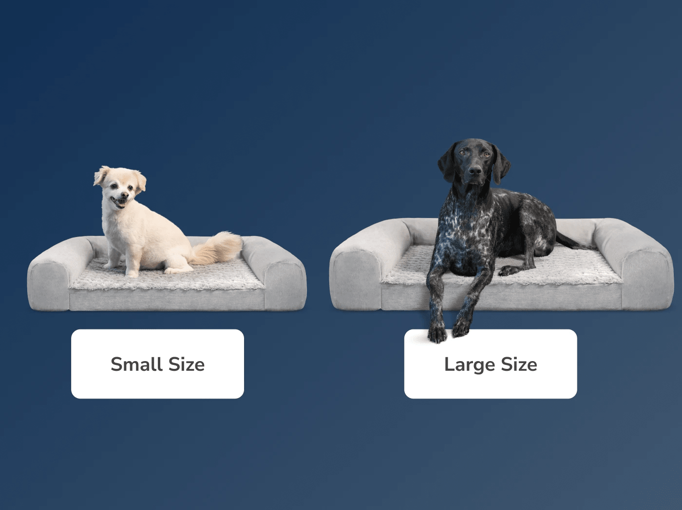 A rendered image of the Helix Dog Bed with a side by side comparison of the small and large sizes