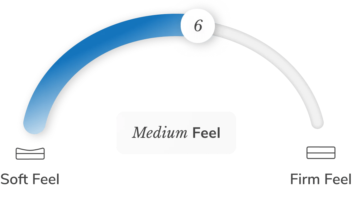 A rendered image showing the Helix Dog Bed has a medium feel