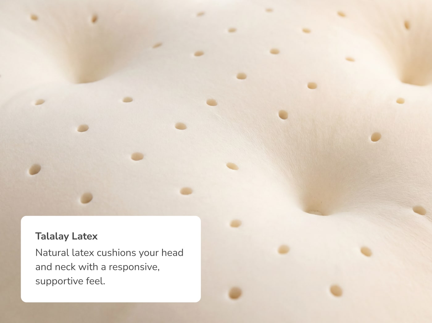 A closeup of the Talalay Latex core used in the pillow