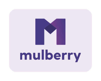 Mulberry 10 Year Accidental Damage Coverage