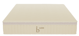 Shop the Birch Luxe Natural Mattress