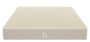 Shop the Birch Natural Mattress