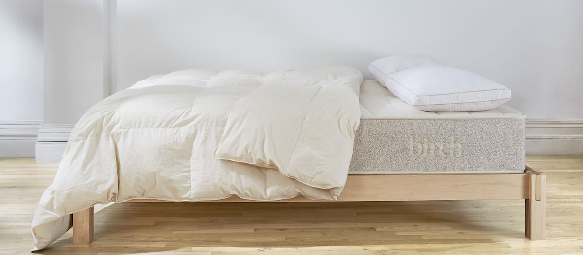 Shop the Birch Natural Down Duvet Insert