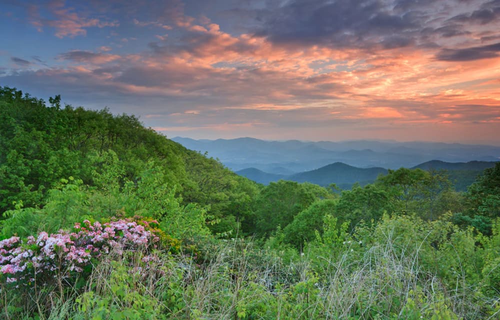 Essential RV Georgia: An Insider’s Highlights of the Peach State - RV