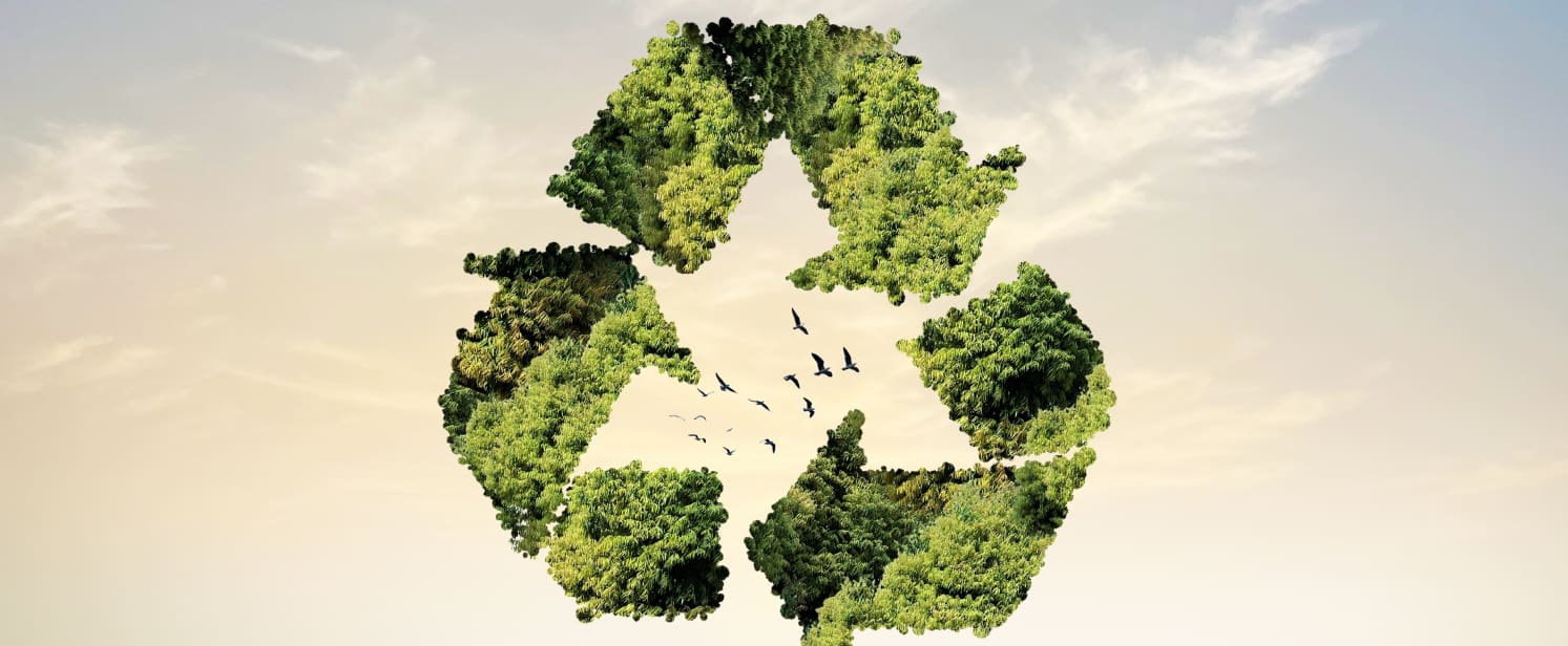 How to get rid of an old mattress in responsible and creative ways -  Brooklyn Bedding, image size:1493x616