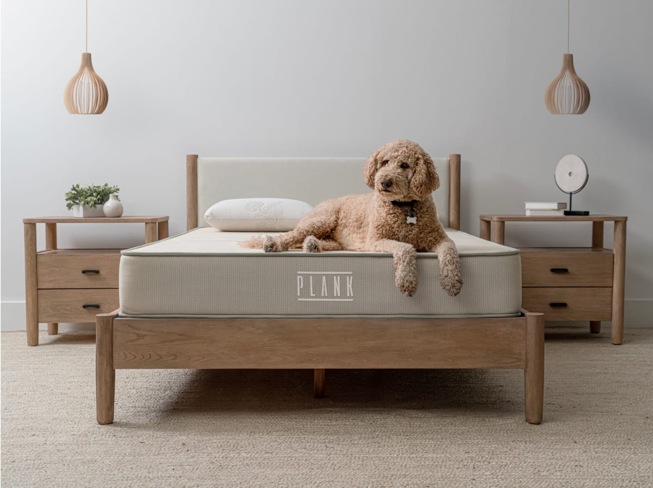 Dog laying on Plank Firm Natural in bedroom