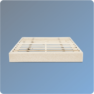 The Natural Foundation on a blue gradient background