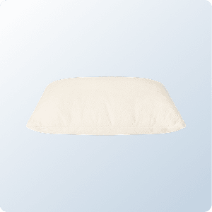 A product image of the Birch Organic Pillow on a blue background gradient