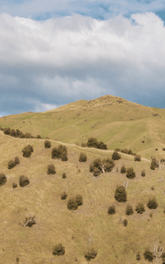 grass covered mountains with sky