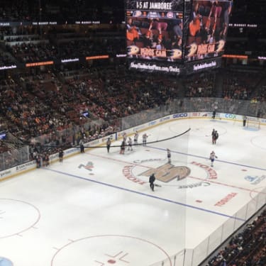 Anaheim Ducks 門票