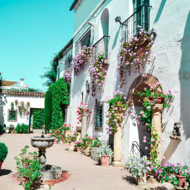 Cordoba Patios Tour