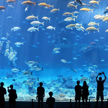 紐約水族館門票