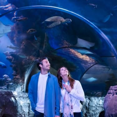 達拉斯海洋生物葡萄園票券