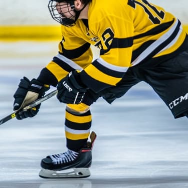 Wilkes-Barre Scranton Penguins Biljetter