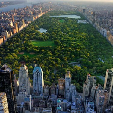 New York Central Park Ücretsiz Tur