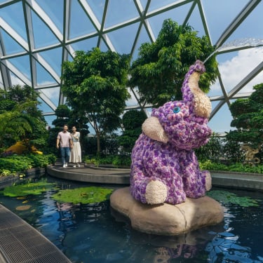 Ingressos para o Canopy Park do Aeroporto de Singapura