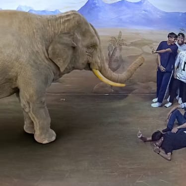 Illusion 3D Art Museum 門票