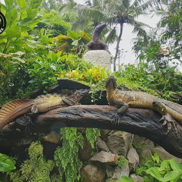 Biglietti per il Reptile Park di Bali