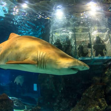 巴塞羅那水族館門票
