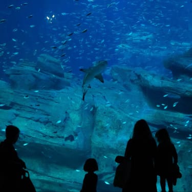 巴黎水族館門票