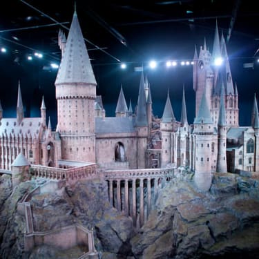 Harry Potter Warner Bros Studio-biljetter med upphämtning på hotellet i London
