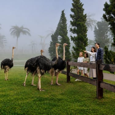 Entradas a una granja tradicional de Bali